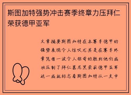 斯图加特强势冲击赛季终章力压拜仁荣获德甲亚军